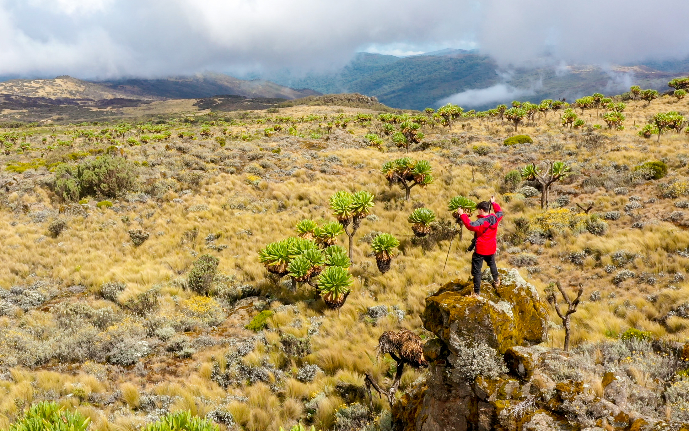 Mt Elgon National Park